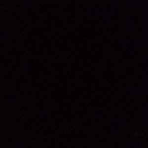 Meet your Posher, Rory